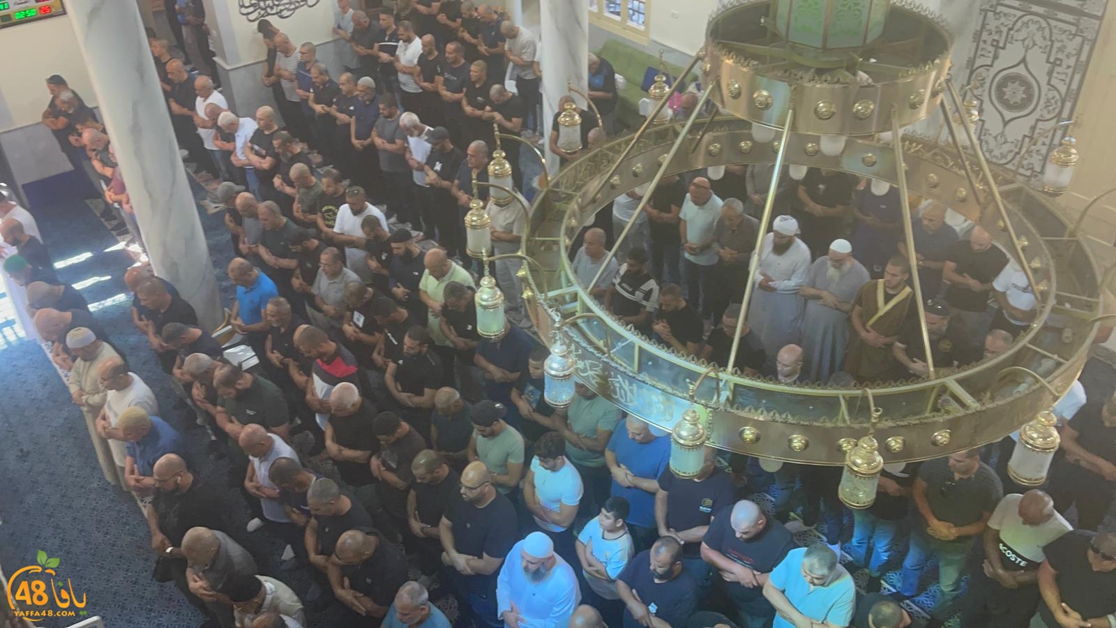 WhatsApp Image 2023-10-12 at 12.00.16 PM.jpeg